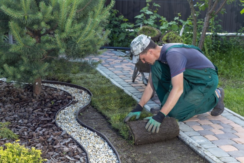 Landscaper Marketing | Direct Mail Marketing Solutions by RSVP